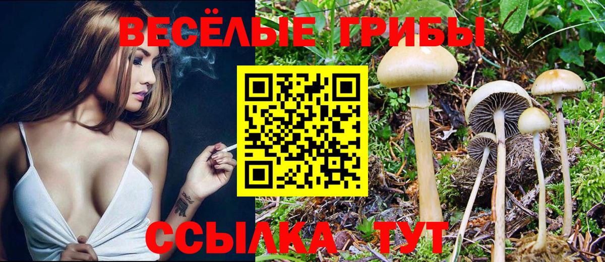 Балахна  Псилоцибиновые грибы Psilocybine cubensis  Вход с VPN  хочу   Псилоцибиновые грибы Magic Shrooms 