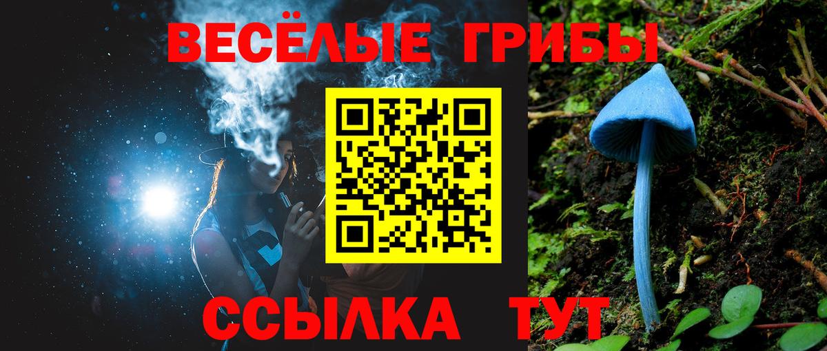 А ПВП Балахна